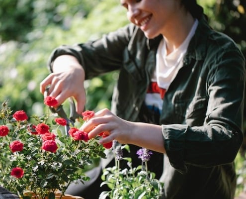 Gartengestalter in der Nähe finden und beauftragen