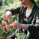 Gartengestalter in der Nähe finden und beauftragen