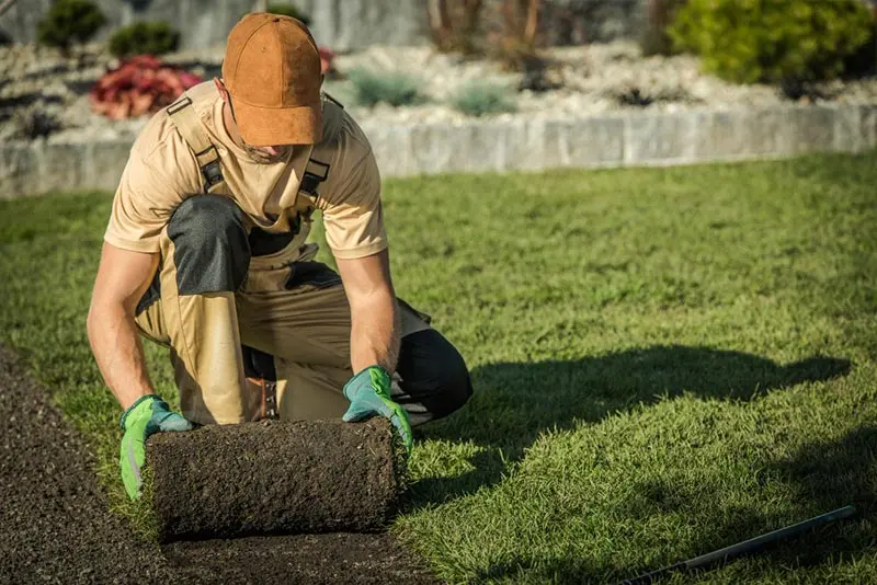 Planen Sie Ihren Garten online mit dem Gartenplaner