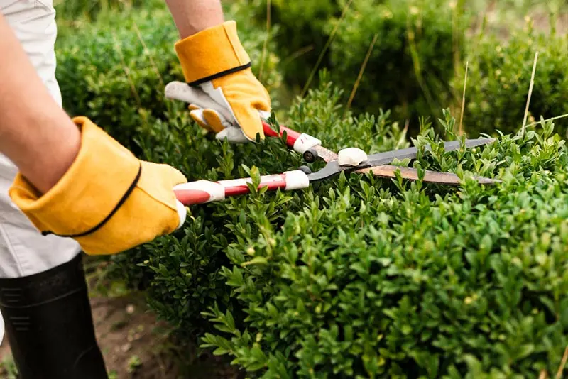 Gartenplaner starten und kostenloses Angebot von einem lokalen Gartengestalter erhalten.